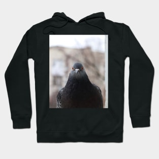 Pigeon Hoodie